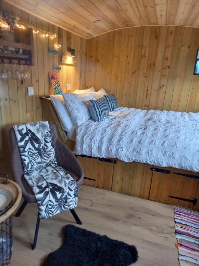 Stargazy Shepherds Hut St Ives المظهر الخارجي الصورة